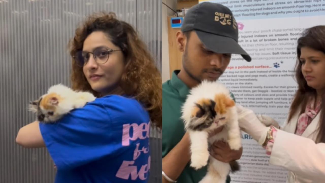 Ankita Lokhande, Vicky Jain get their cat Mau vaccinated, call her 'brave kitty'