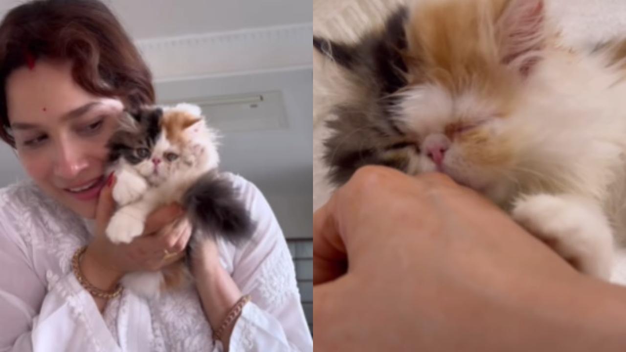 'Proud parents' Ankita Lokhande, Vicky Jain welcome their 'little princess' a cat named Mau