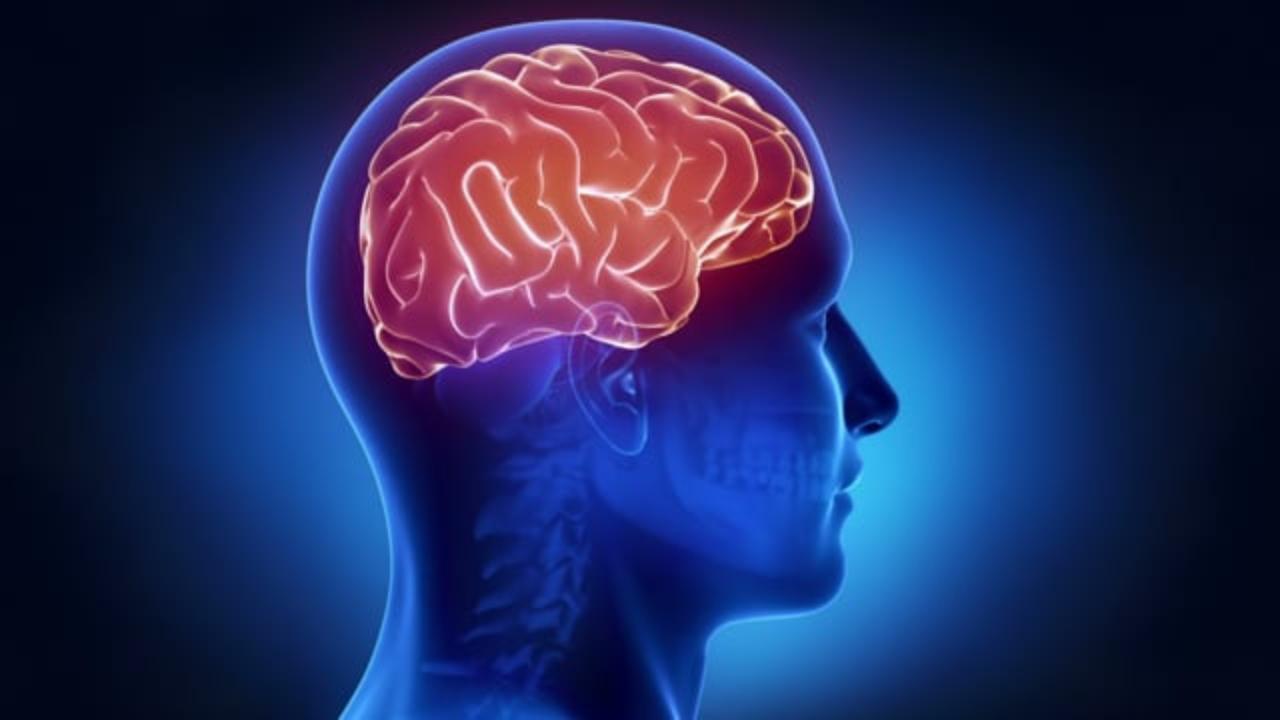 Here's how the human brain acts on spontaneous decisions