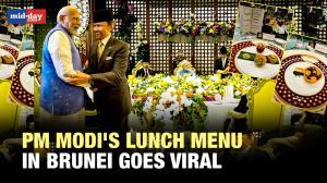 WATCH: What was PM Modi offered to eat at grand Brunei palace?