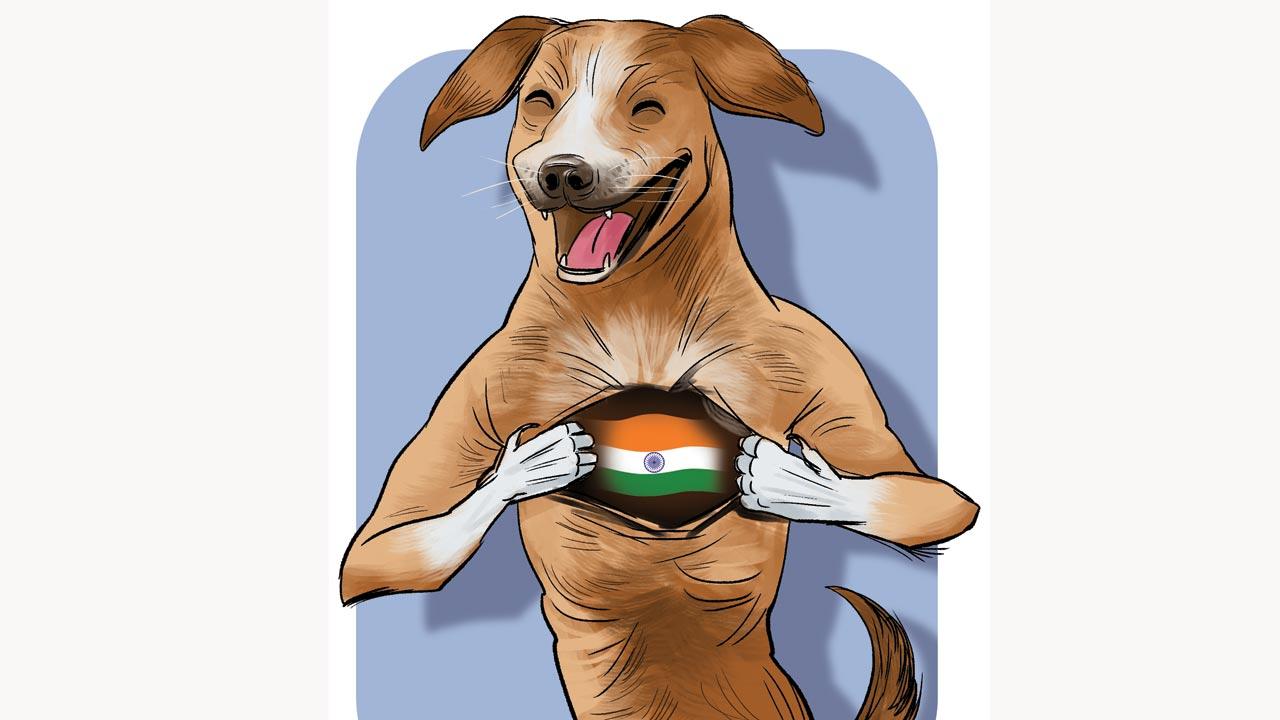 FRDs show territoriality and greater aggression to stranger humans and dogs. 