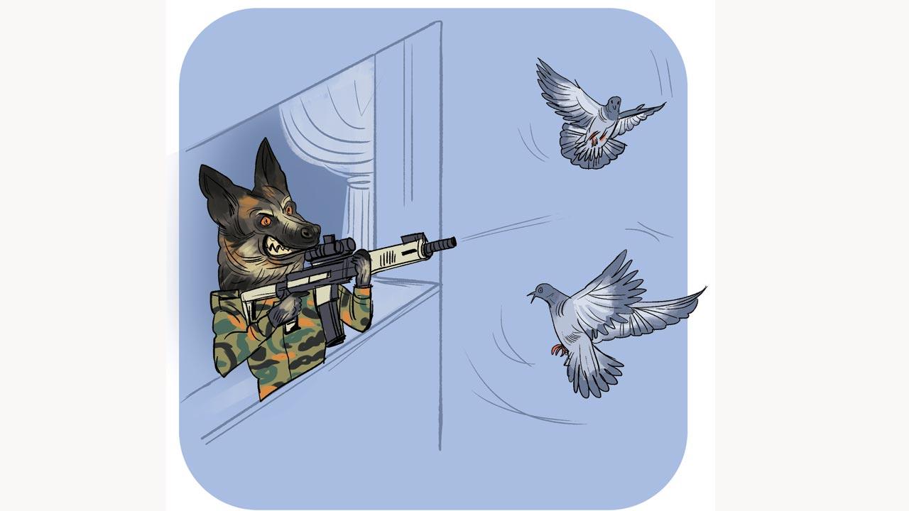 They have a strong prey drive, which is why they chase rats, squirrels, and birds out of their homes, and bark enthusiastically