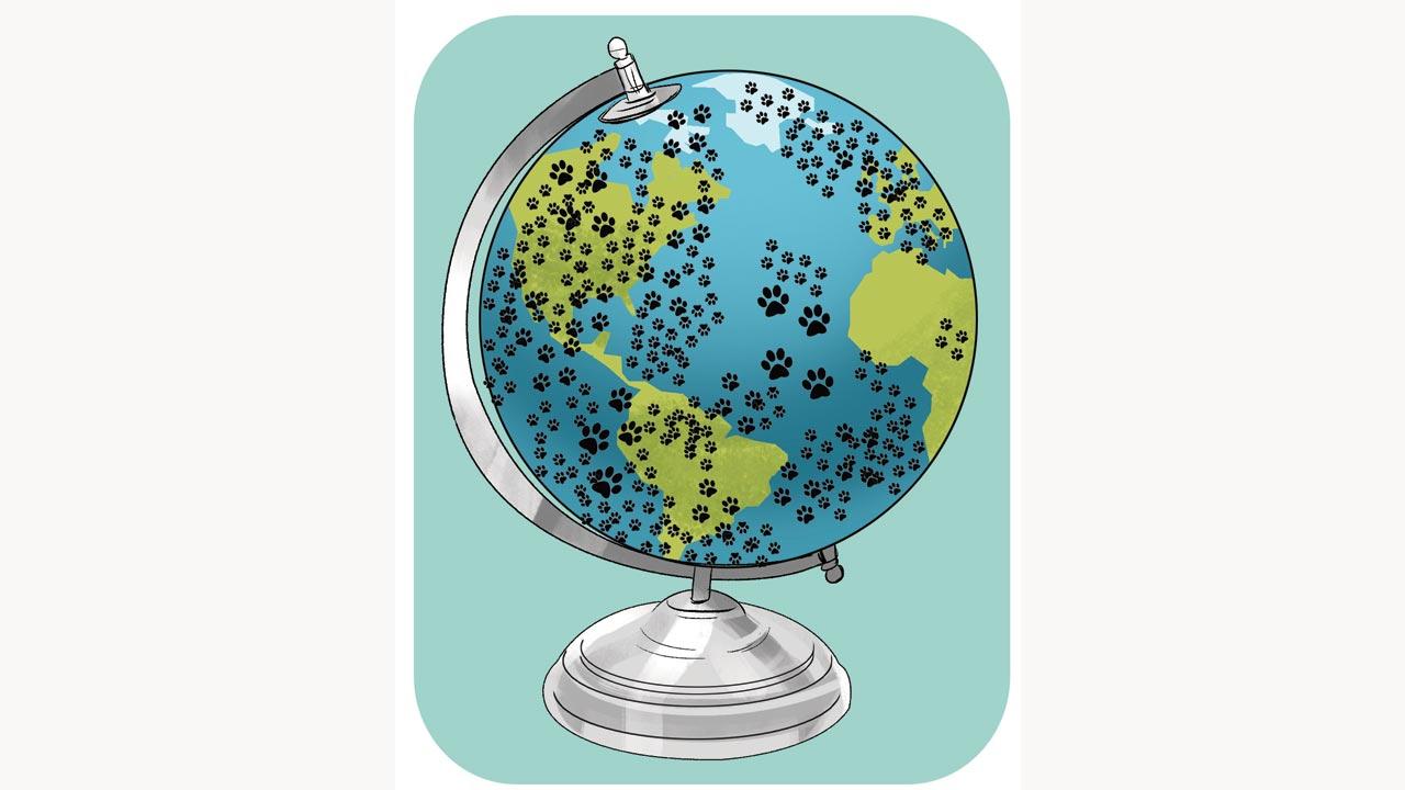 Dogs have followed us on all global expeditions, been to space before us, and are found in almost every human settlement on Earth. No other species is so adaptable across such a large gradient of environmental conditions