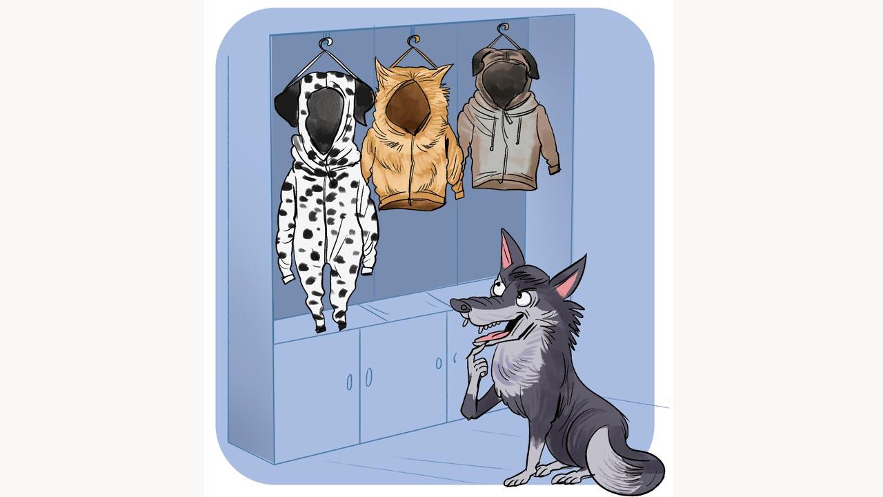 There are about 400 recognised, human-made dog breeds. No other species displays such an astounding amount of external variation in size, colour, fur type, facial characteristics