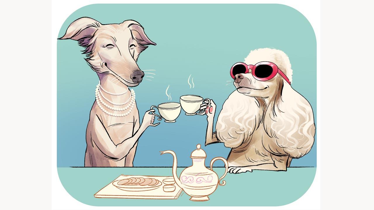 The pack is a joint family. Grandmothers, aunts, daughters, sisters help raise pups. Dads and uncles play with them, teach social skills, and discipline them