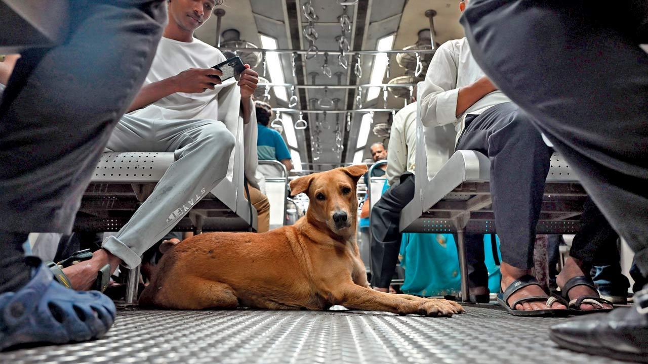 Mumbai Diary: Thursday Dossier