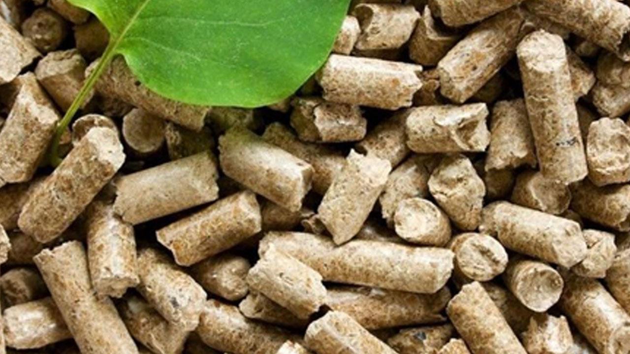 Wood Fuel: Comparison of Use in UK and India