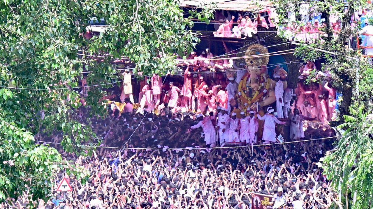 With processions leading to natural water bodies for immersion, the BMC has implemented safety measures to protect devotees from marine species such as blue button jellyfish and stingrays, which are common along Mumbai’s coast during this season. Citizens have been advised to remain cautious and seek immediate first aid in case of fish stings. Additionally, 761 lifeguards and 48 speedboats have been stationed at beaches like Juhu, Marve, and Aksa to assist in any emergencies.