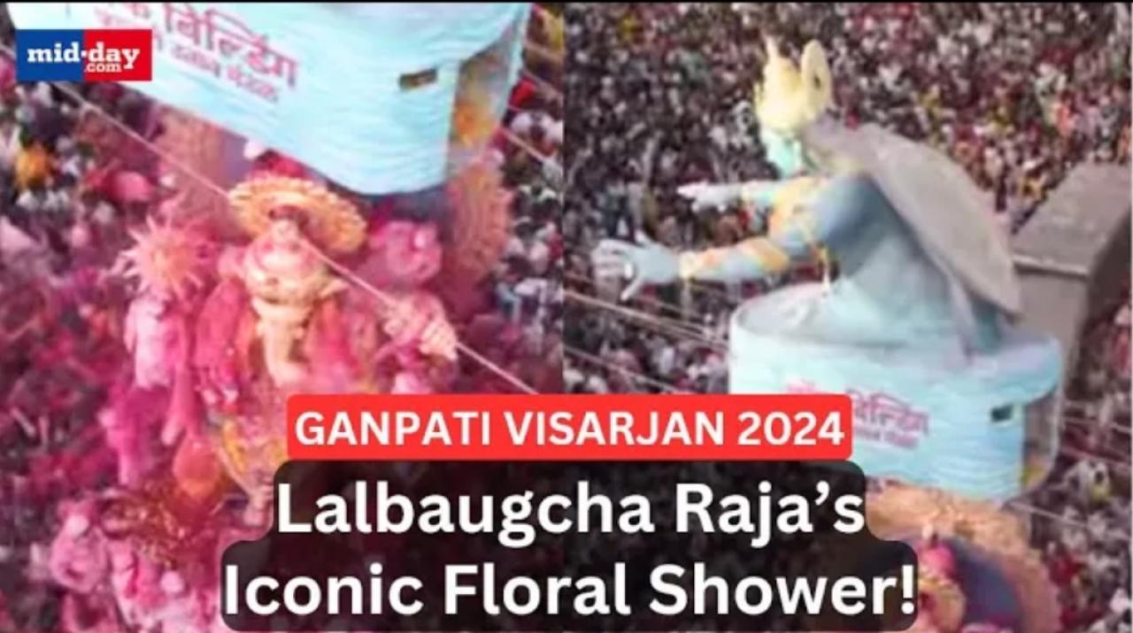 Ganpati Visarjan 2024: Lalbaugcha Raja's floral shower from Shroff building