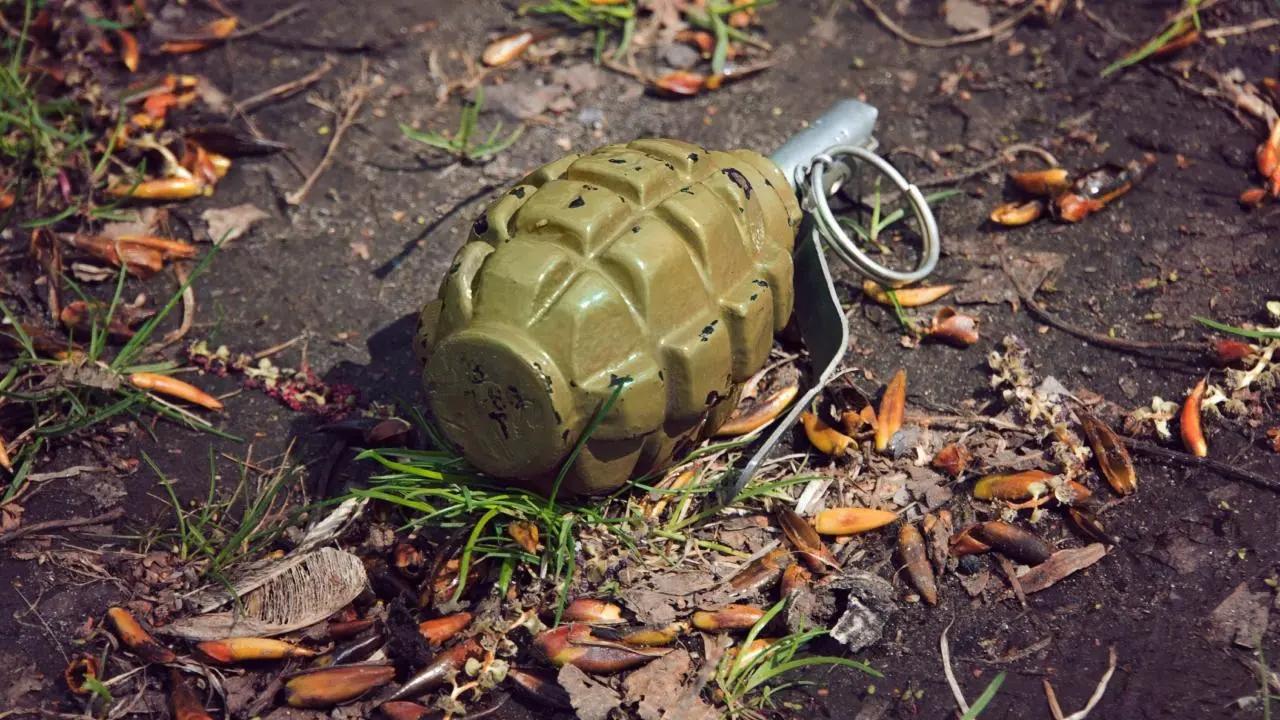 Two grenades recovered in Assam village