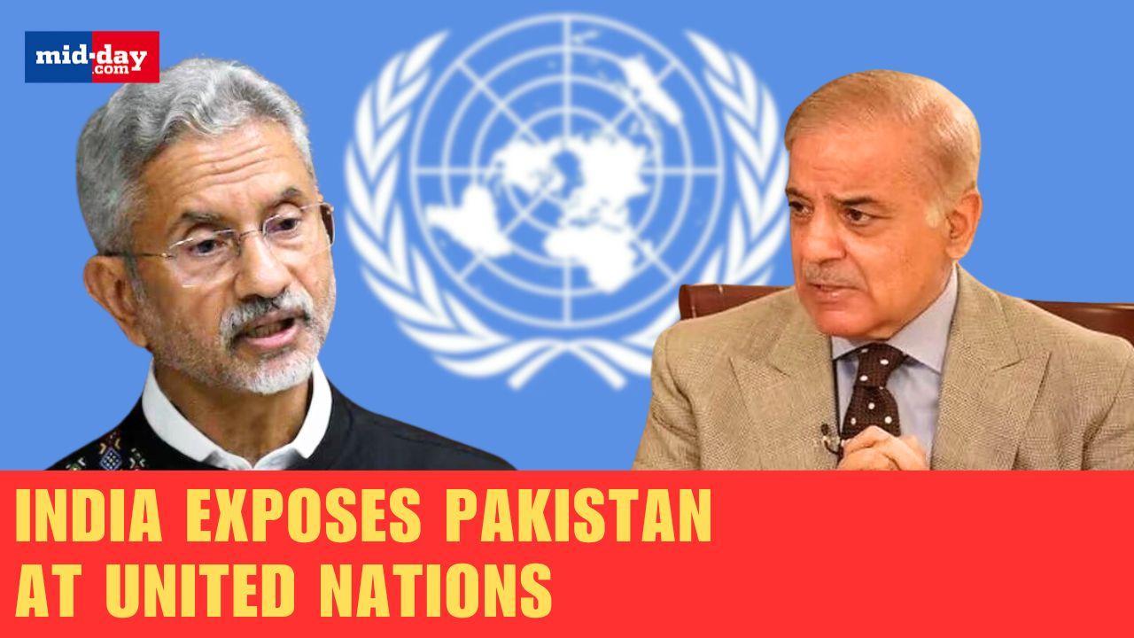 United Nations: Watch India’s viral thrashing to Pakistan over Kashmir rant