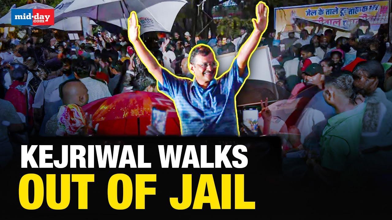Arvind Kejriwal Bail: AAP celebrates as Delhi CM released