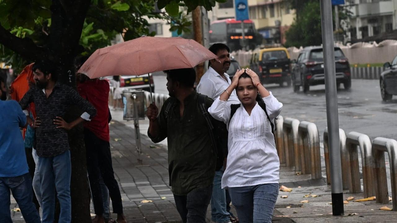 Meanwhile, a green alert was issued on Monday by the IMD for Mumbai and adjoining Thane and Palghar districts in Maharashtra