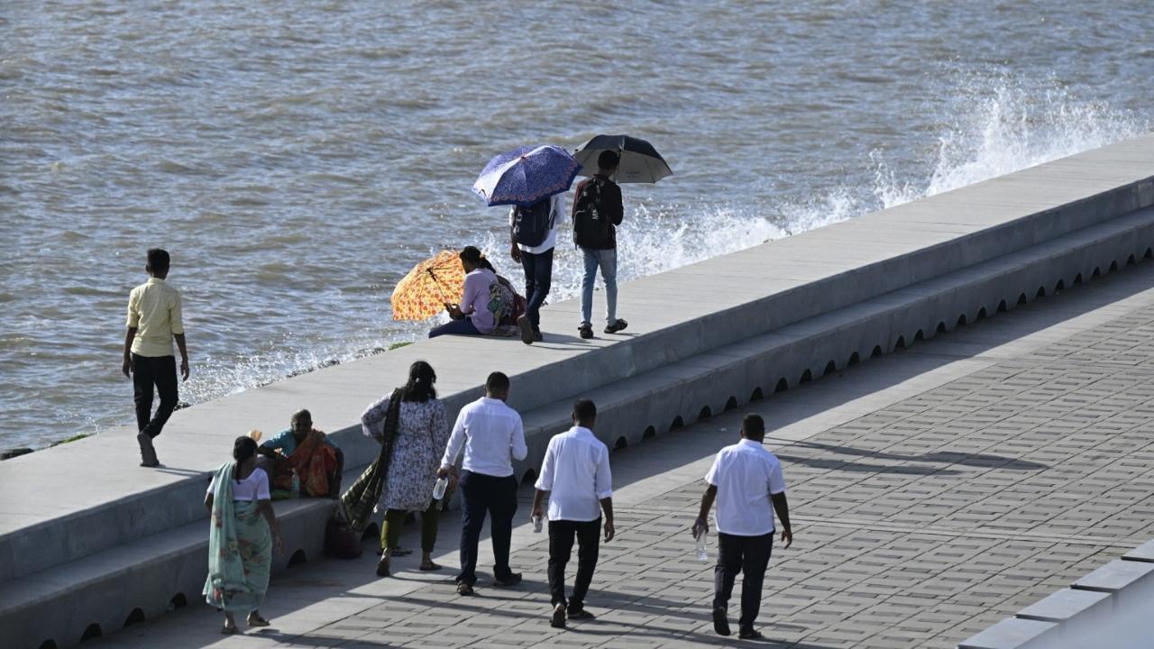 IN PHOTOS: Mumbai witnesses sunny weather as rains take a break