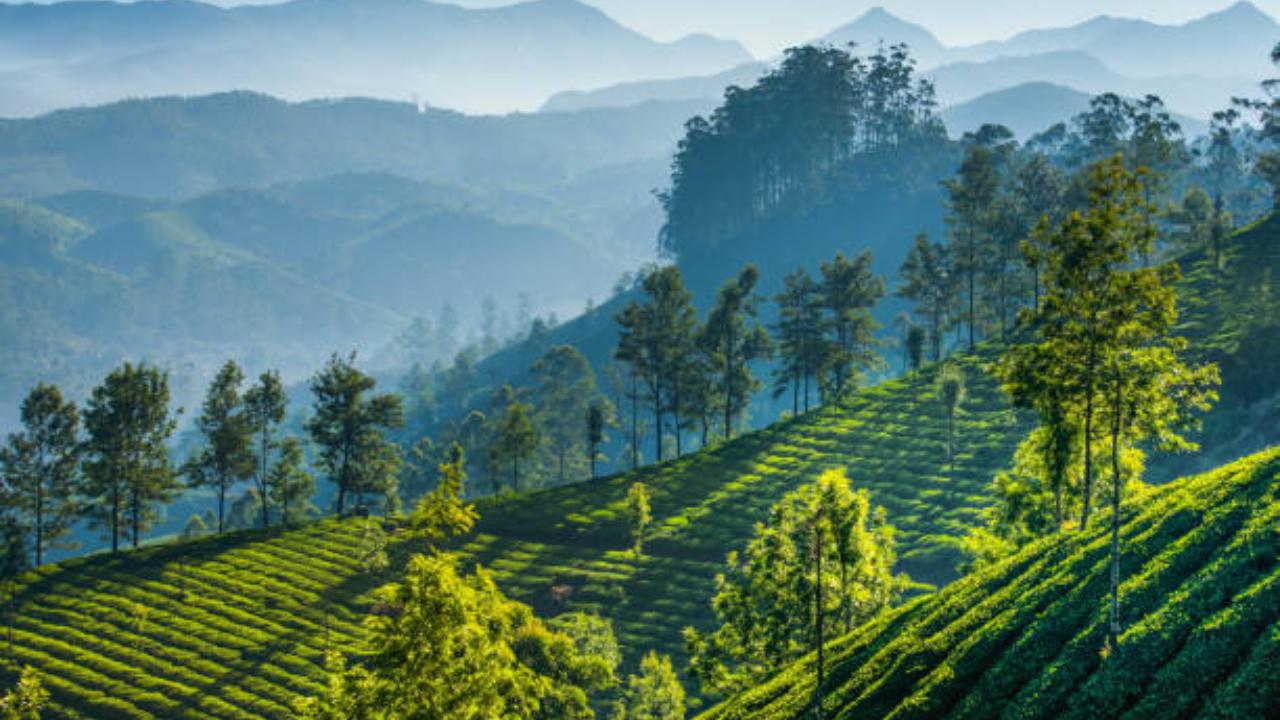 South India, Chennai Express
The movie takes us on a journey through beautiful roads, temples and villages of South India. From Munnar’s tea estates to the famous Pamban Bridge, it showcases the touristy side of states Tamil Nadu and Kerala.
Also Read: Yeh Jawaani Hai Deewani’s Udaipur to Emily in Paris’ France: Here’s how set-jetting travel trend is ruling itineraries