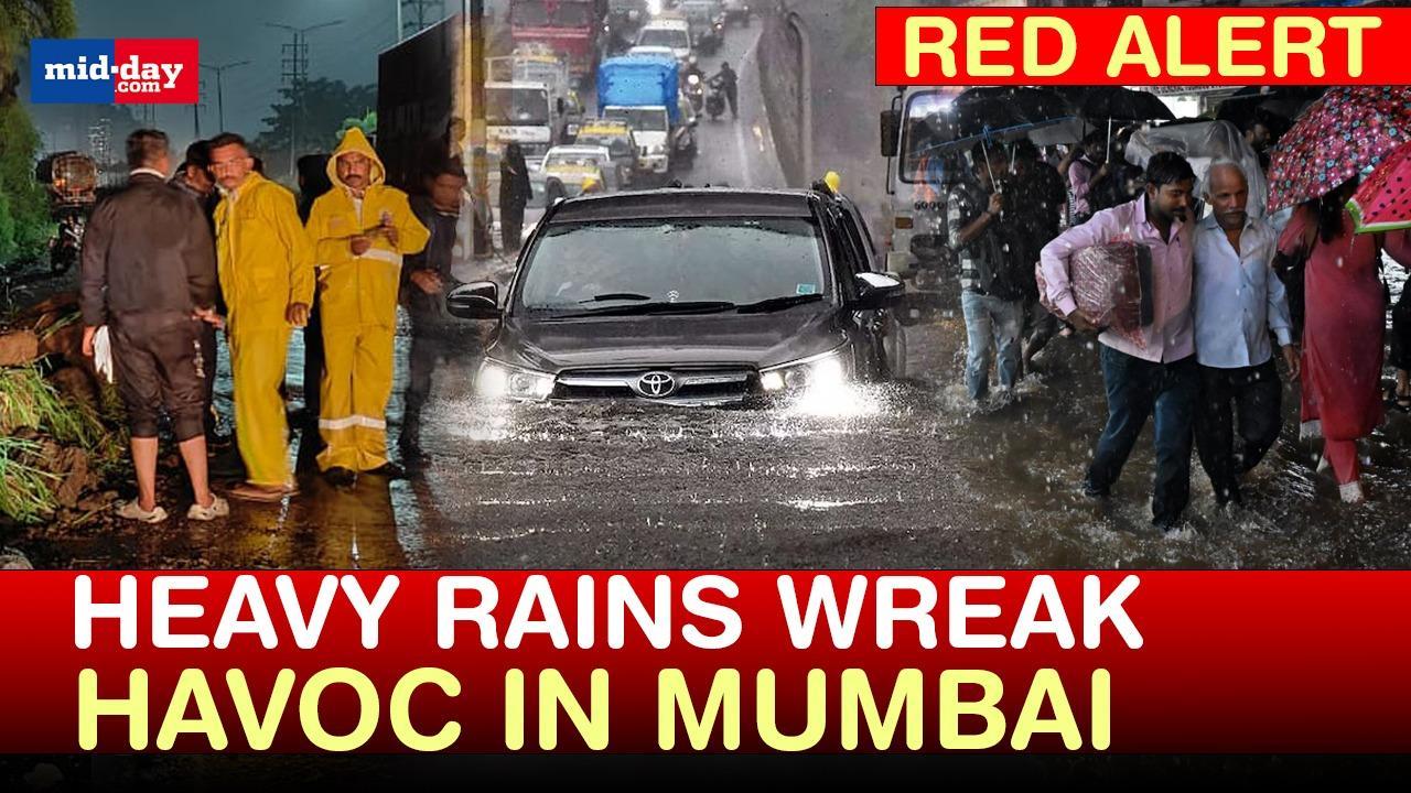 Mumbai rains: Red alert issued in Mumbai due to heavy rains - WATCH