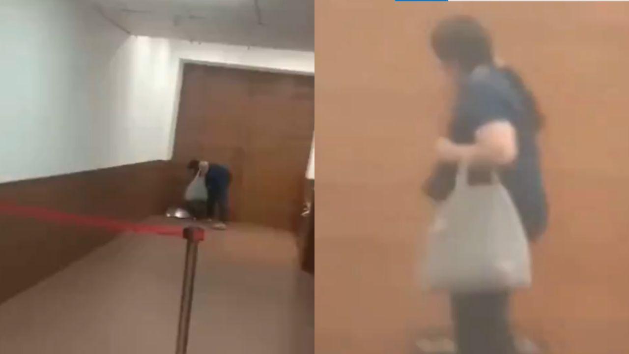 Mumbai Police launch hunt after woman vandalises Deputy CM Fadnavis' Mantralaya office
