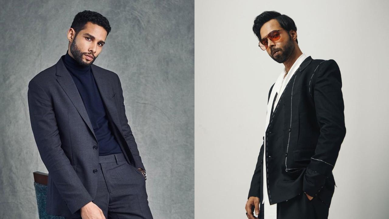 Siddhant Chaturvedi and Abhishek Banerjee to host IIFA Rocks 2024