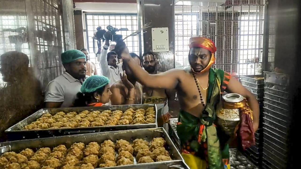 Tirupati laddu debate: ‘Shanti Homam’ held at Tirumala holy place
