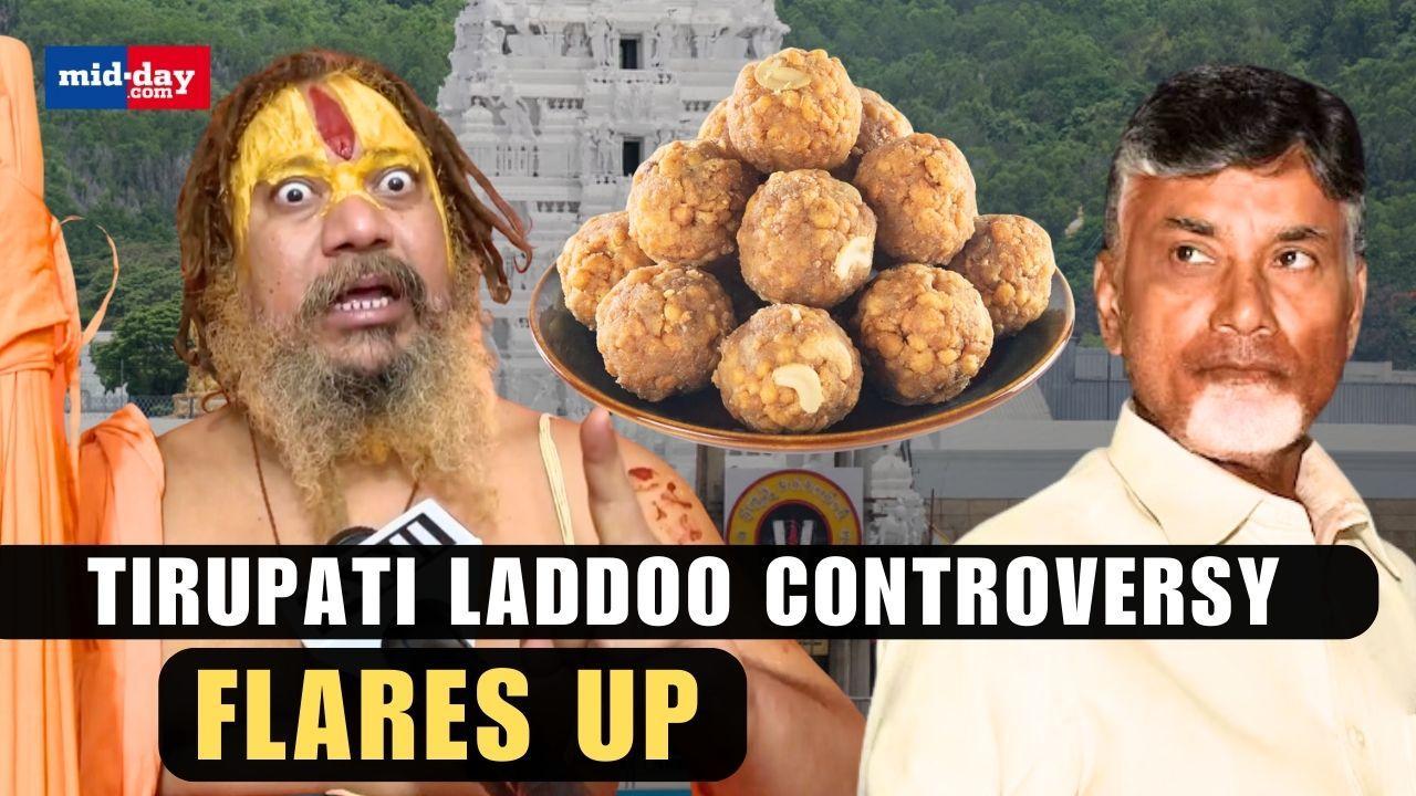 Tirupati Laddoo Controversy: Hindu Priests Furious, Devotees express anger