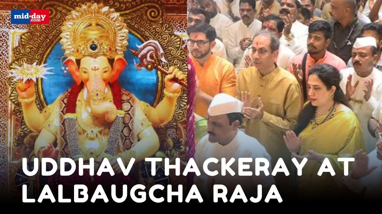 Ganesh Chaturthi 2024: Uddhav Thackeray visits Lalbaugcha Raja, attends aarti