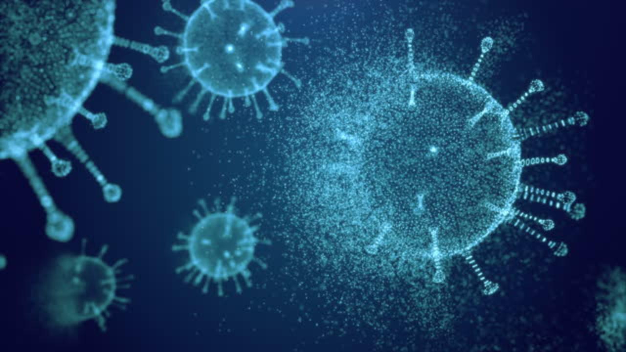 Mpox, Nipah virus, bird flu: Why are zoonotic diseases on the rise?