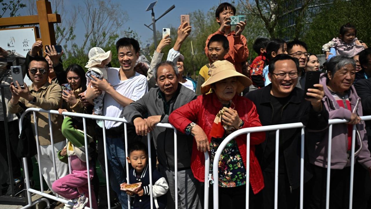 Curious humans lined the roadside, phones in hand ready to photograph each machine as it began the race.