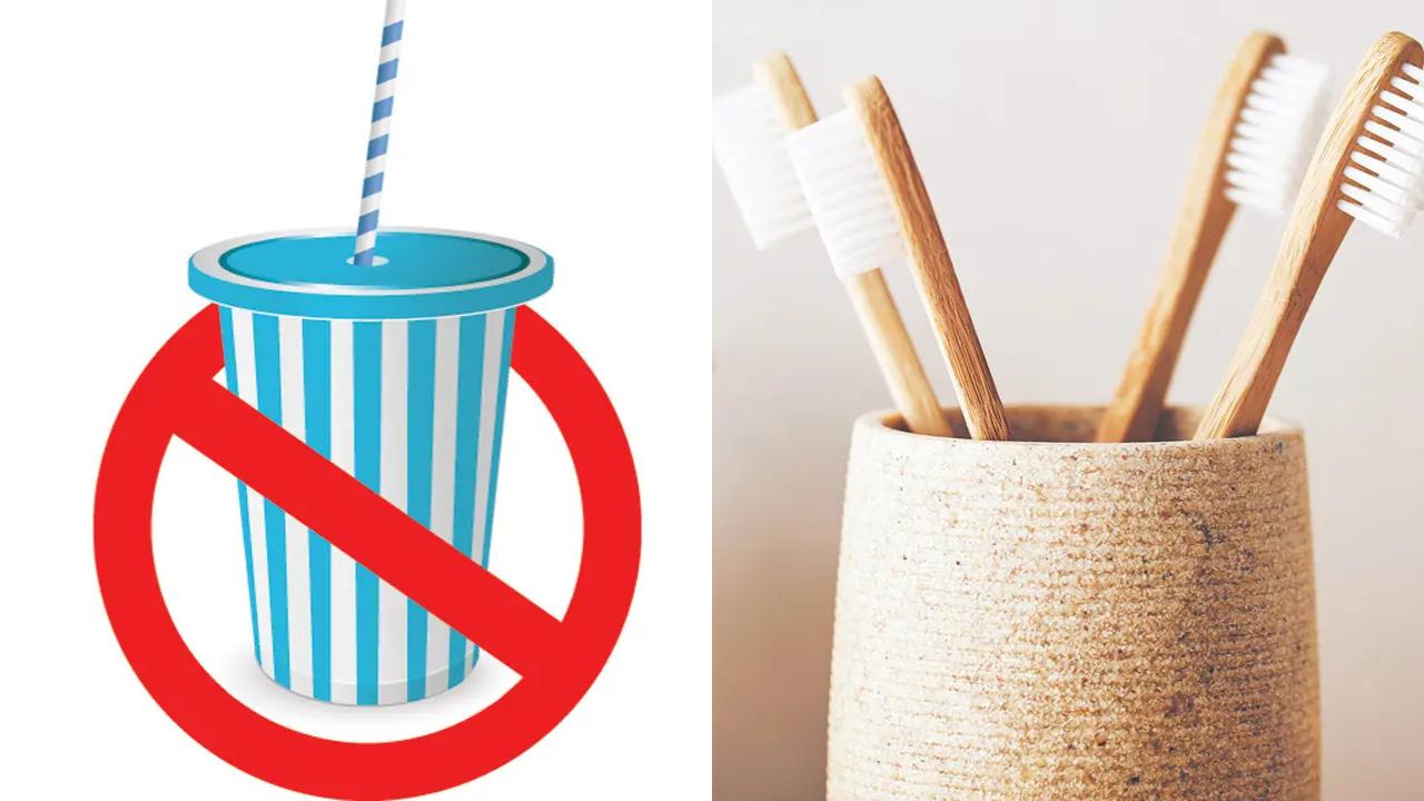 Make sure you do not accept plastic straws for drinks. Swap plastic toothbrushes with bamboo ones, if you can
(Information courtesy: Katie Bagli, nature writer and education director, Jane Goodall Institute India)
Read full story: World Earth Day 2025: Check out these events in Mumbai and eco-friendly tips to incorporate in your life