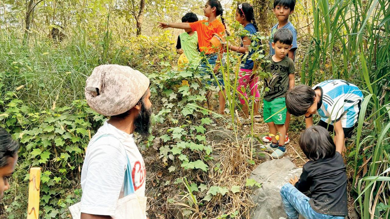 Kids discover local plants during a nature trail in Aarey Forest. Pic courtesy/Jatin shah