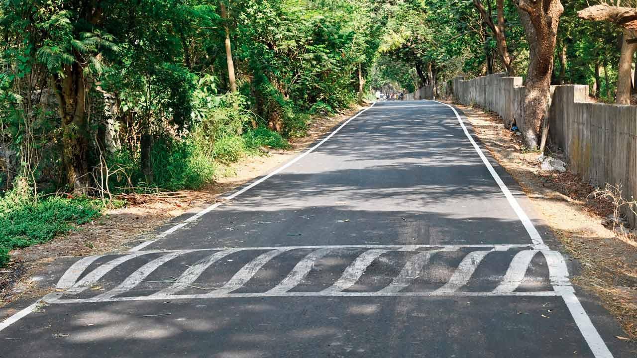 Mumbai: After risk to wildlife flagged, work on speed bumps starts in Aarey
