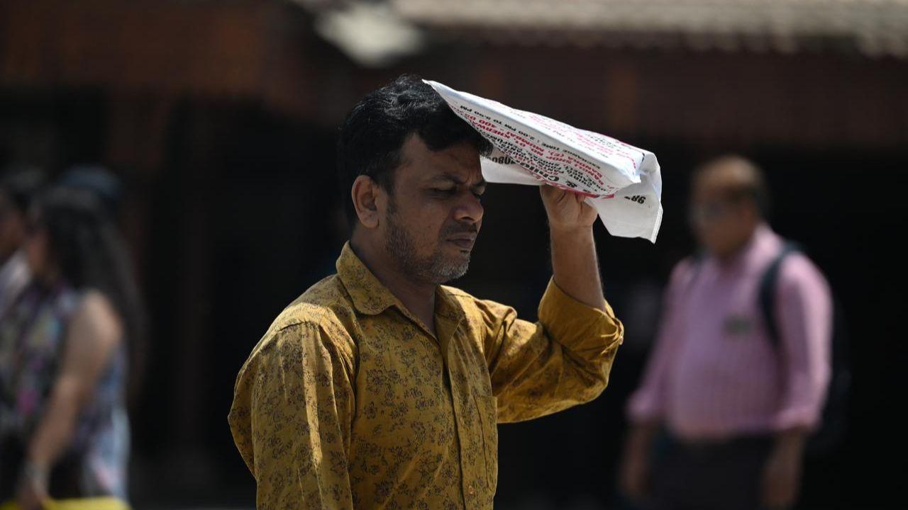 Hot and humid conditions very likely to prevail in city and suburbs
