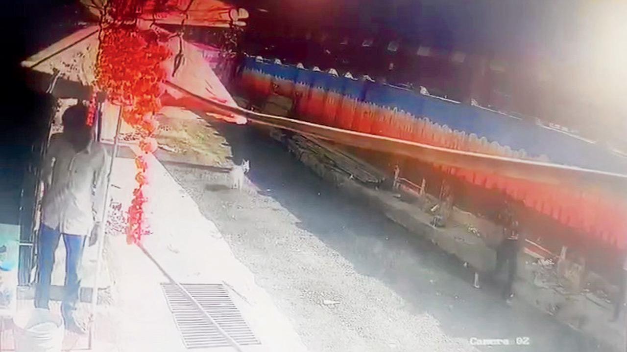 CCTV grab of the dog outside Vile Parle railway station