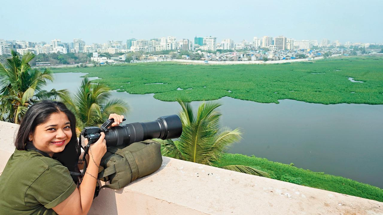 Mumbai: Killer carpet of green