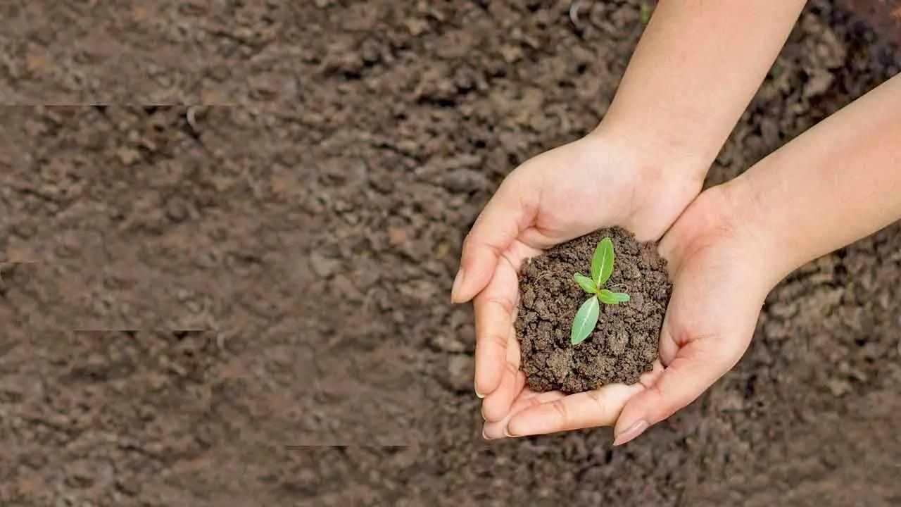 World Earth Day 2025: Small steps that can help you lead an eco-friendly life