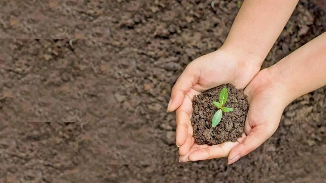PICS | World Earth Day: 5 global icons who have spoken about saving the Earth