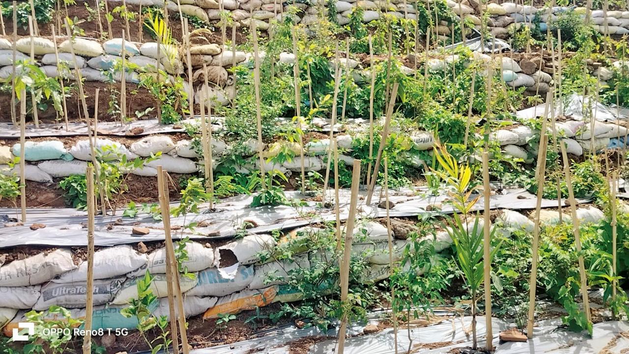 Dil garden, garden ho gaya