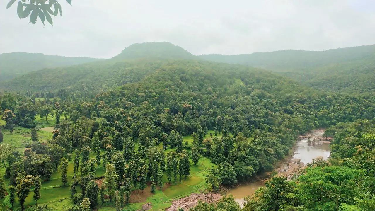 CM Fadnavis approves environmental clearance for Gargai Dam project