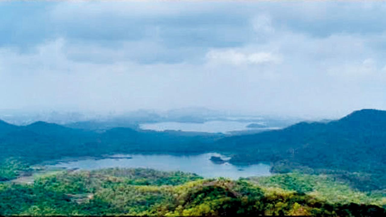 The view from the summit.  PIC COURTESY/SGNP 