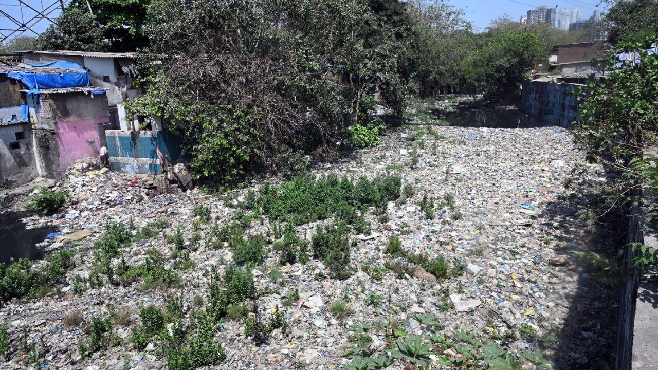 The image exposes the urgent need for waste management and cleanup efforts