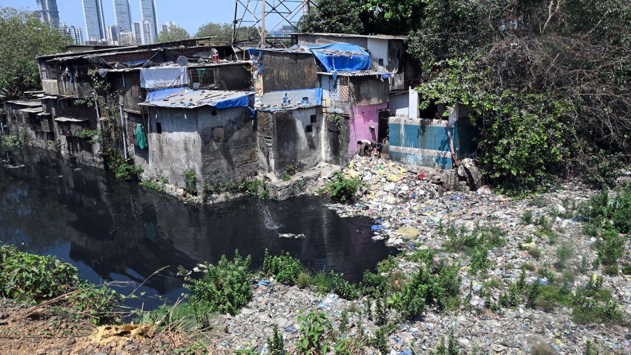 Water pollution has become a major problem in Mumbai. The pollution not only impacts the city's water supply but also poses severe environmental and ecological threats
