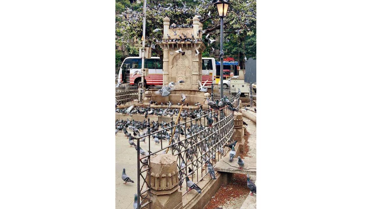 A view of the Kothari pyaav and Kabutarkhana at CSMT. Pics Courtesy/Vaastu Vidhaan