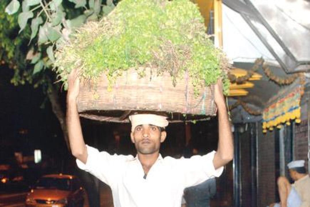 Maharashtra to act against bogus Mathadi workers with digital clean-up