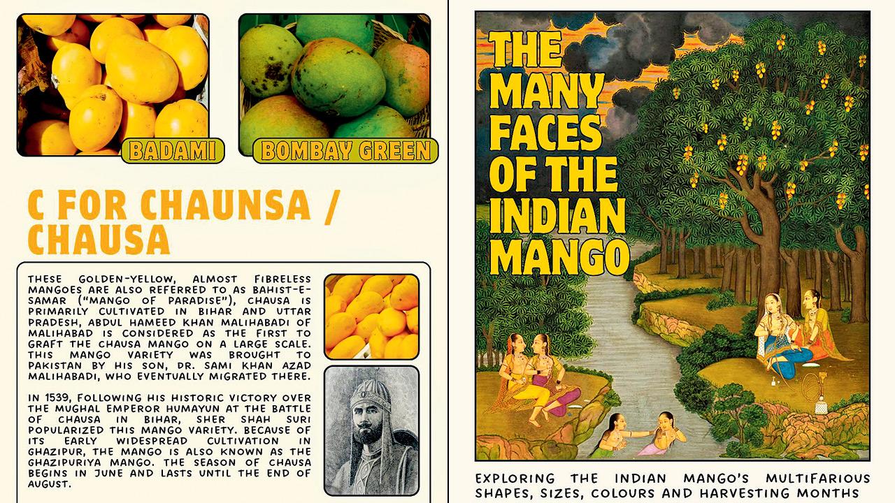 The posters explain the many types of mangoes. Pics courtesy/Imperfect Orange