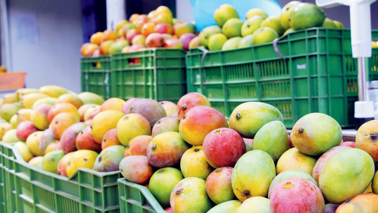 Mumbai: Mango seller duped by ‘Good Samaritans’ in Kandivali