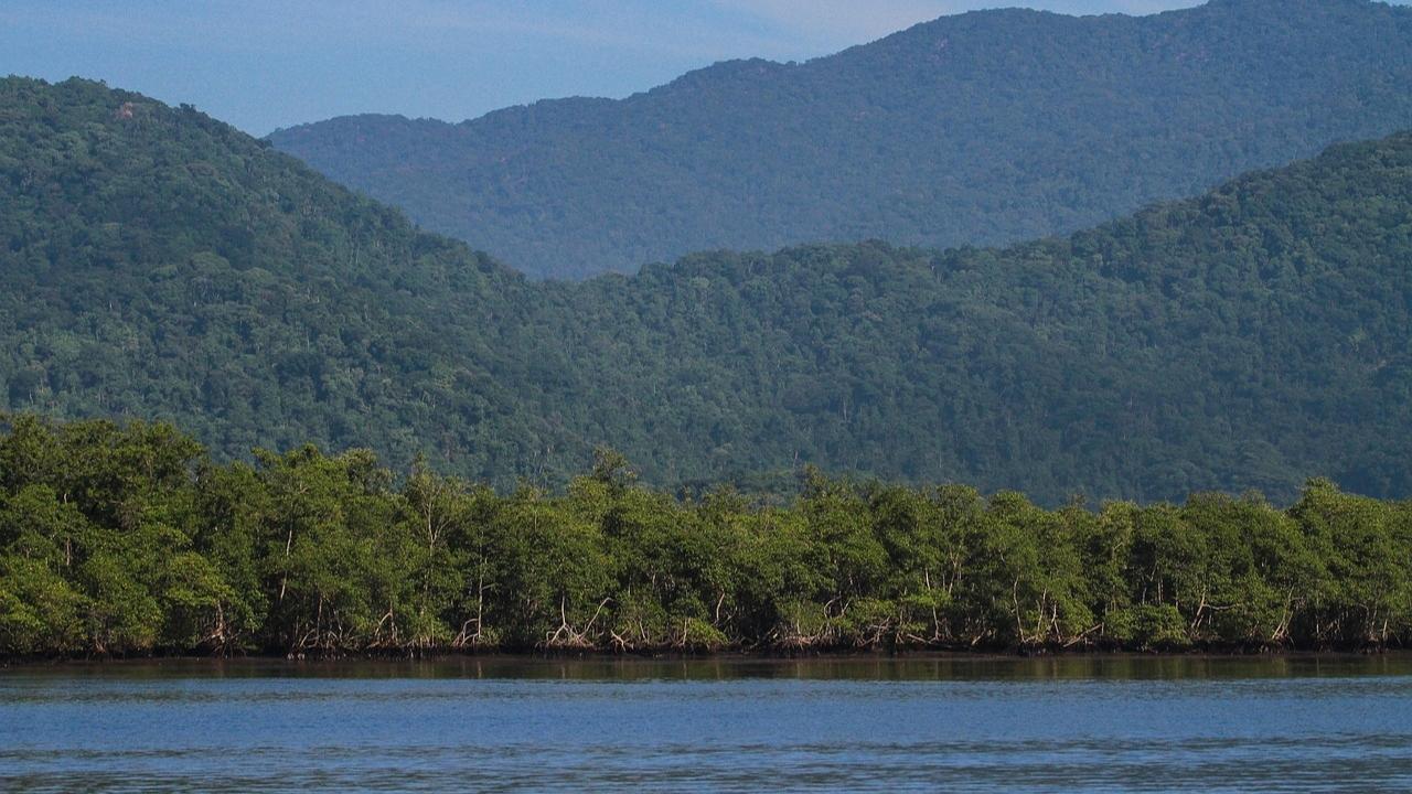 Maharashtra Minister orders feasibility study for mangrove safari park in Airoli