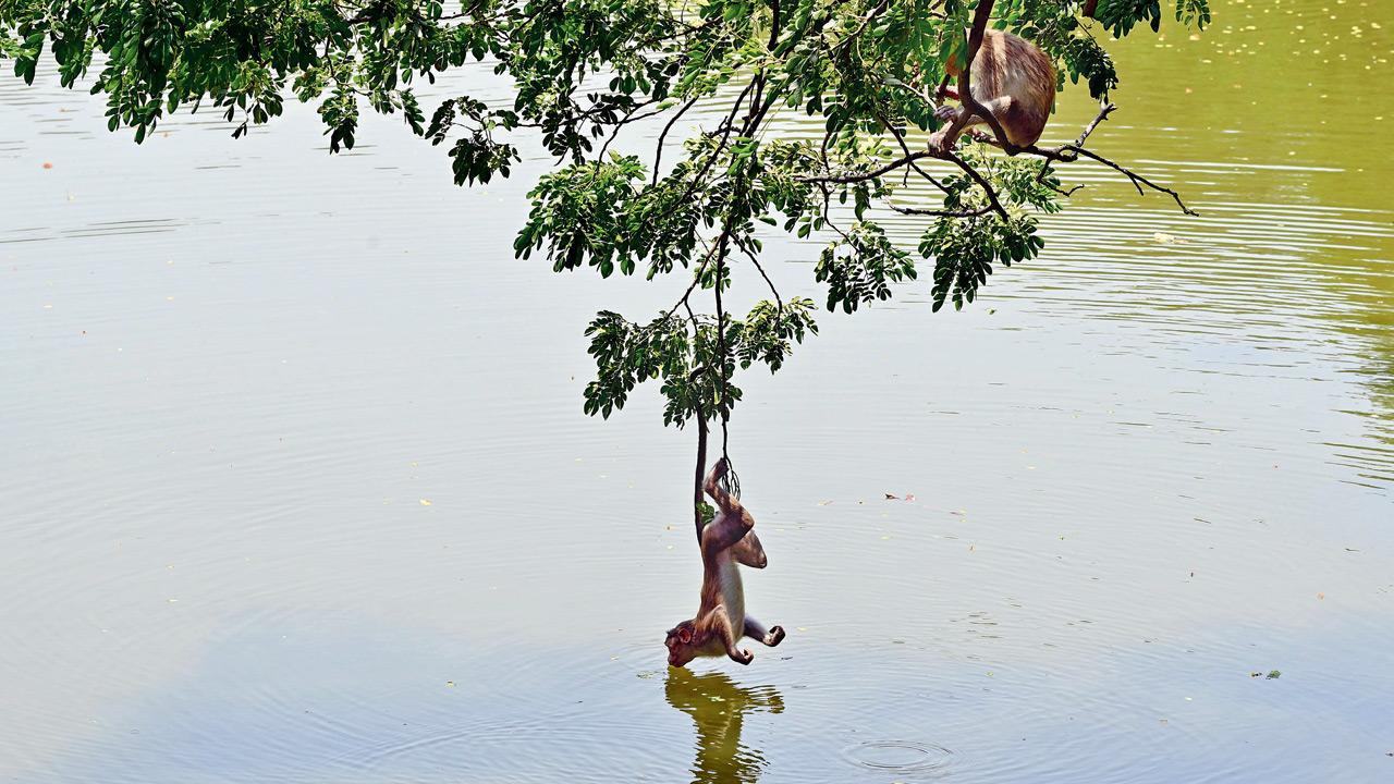 Mumbai Diary: Wednesday Dossier