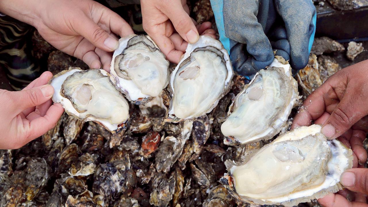 After having 80 oysters, Georgina proceeded to say that she could have eaten more! PIC/GETTY IMAGES 