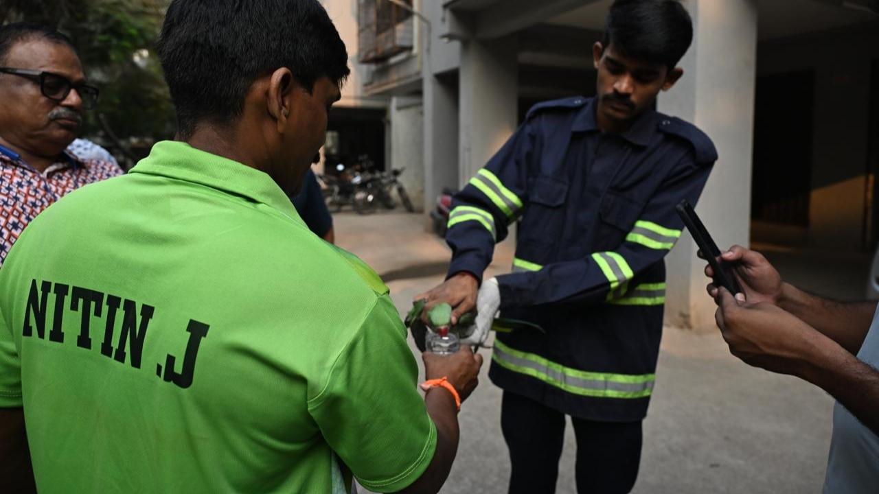 A team from the fire department swiftly responded, carefully freeing the parakeet and removing the hazardous string
