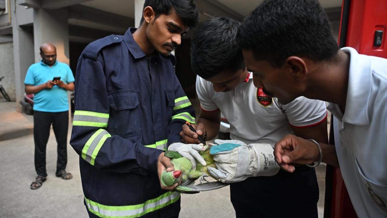 Authorities continue to urge citizens to avoid using such materials for kite flying
