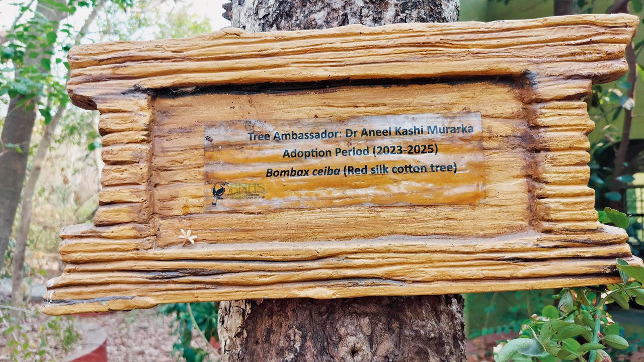 All the trees in the forest bear the  name plates of the ambassadors. Pic courtesy/BNHS CEC Mumbai team